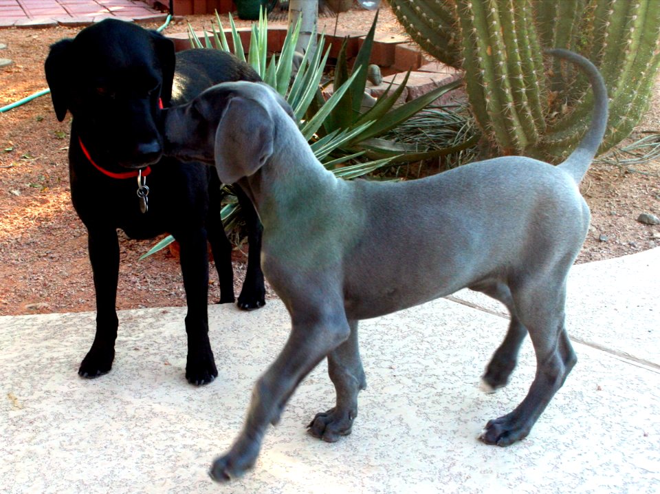 Cadu Meets Her Cousin