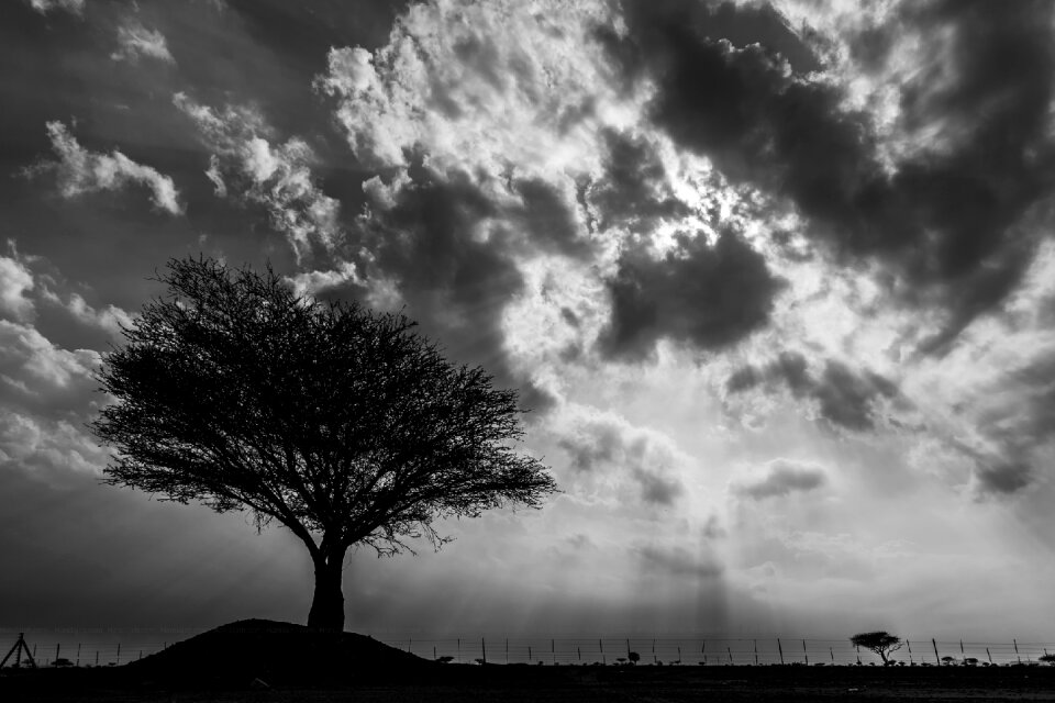 Silhoette lonely countryside