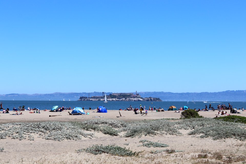Alcatraz from Crissy Field Beach