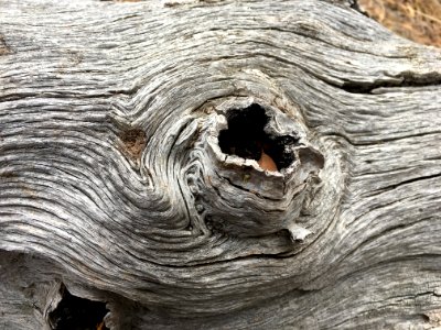 Old Contours
