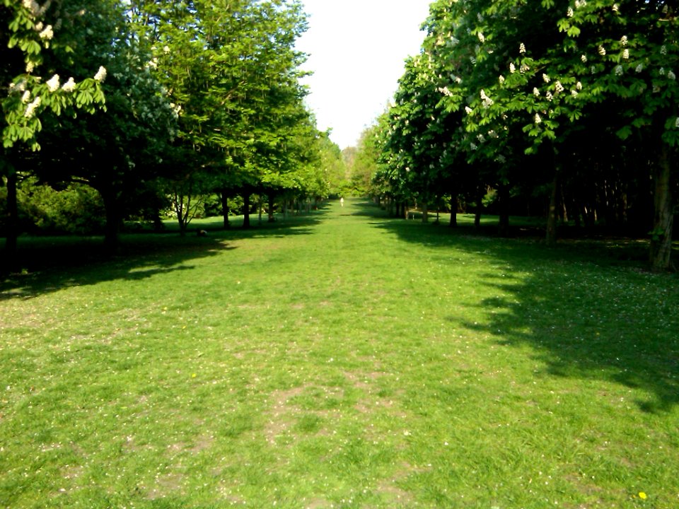 IMG00002-20110430-1745