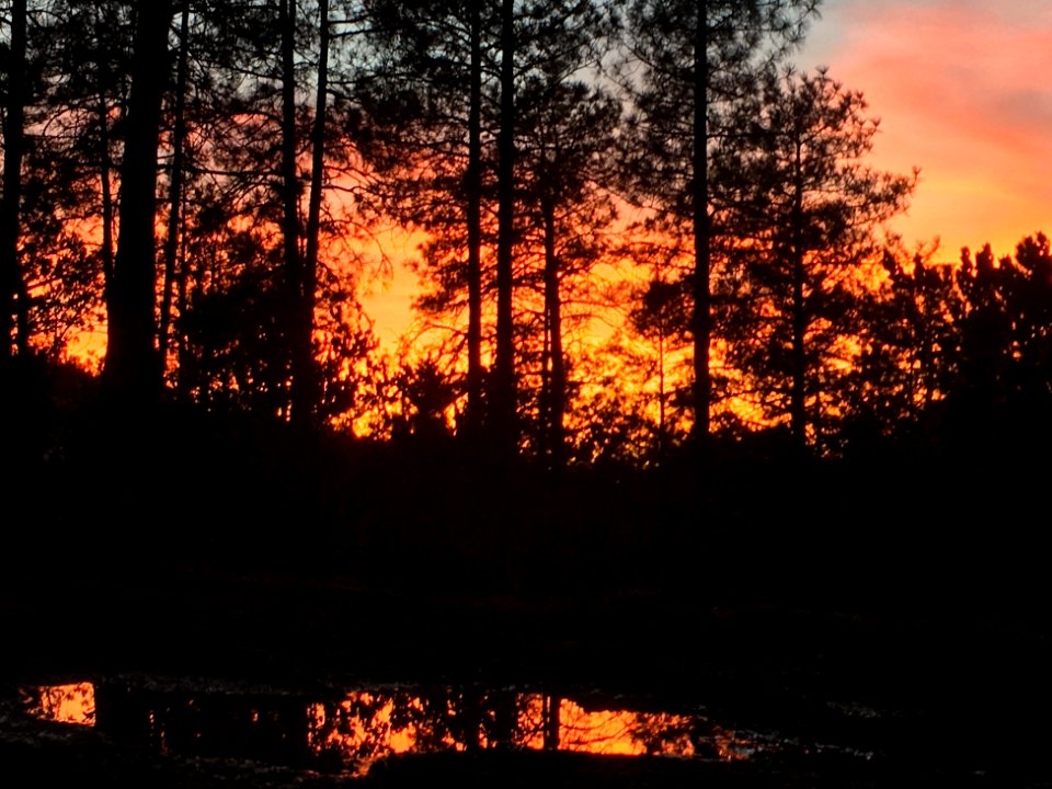 Sunset in Puddle and Sky