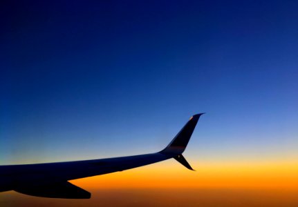 2016/366/310 Winging It Home
