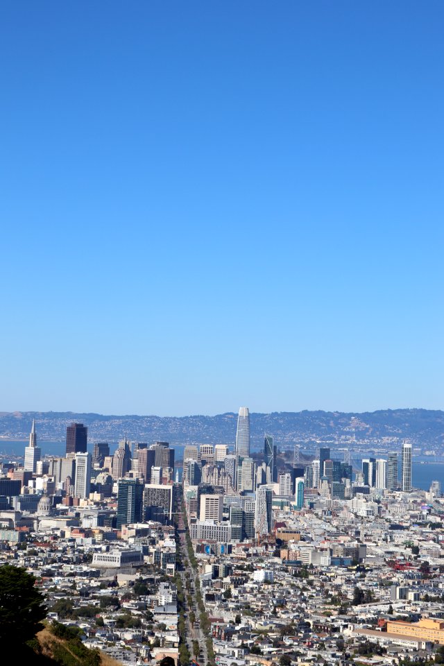 View of San Francisco from Twin Peaks