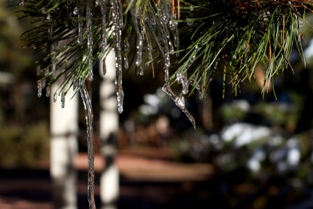 Melting Freezing Melting