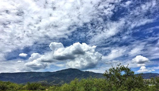 Under the Mingus Mountain Sky