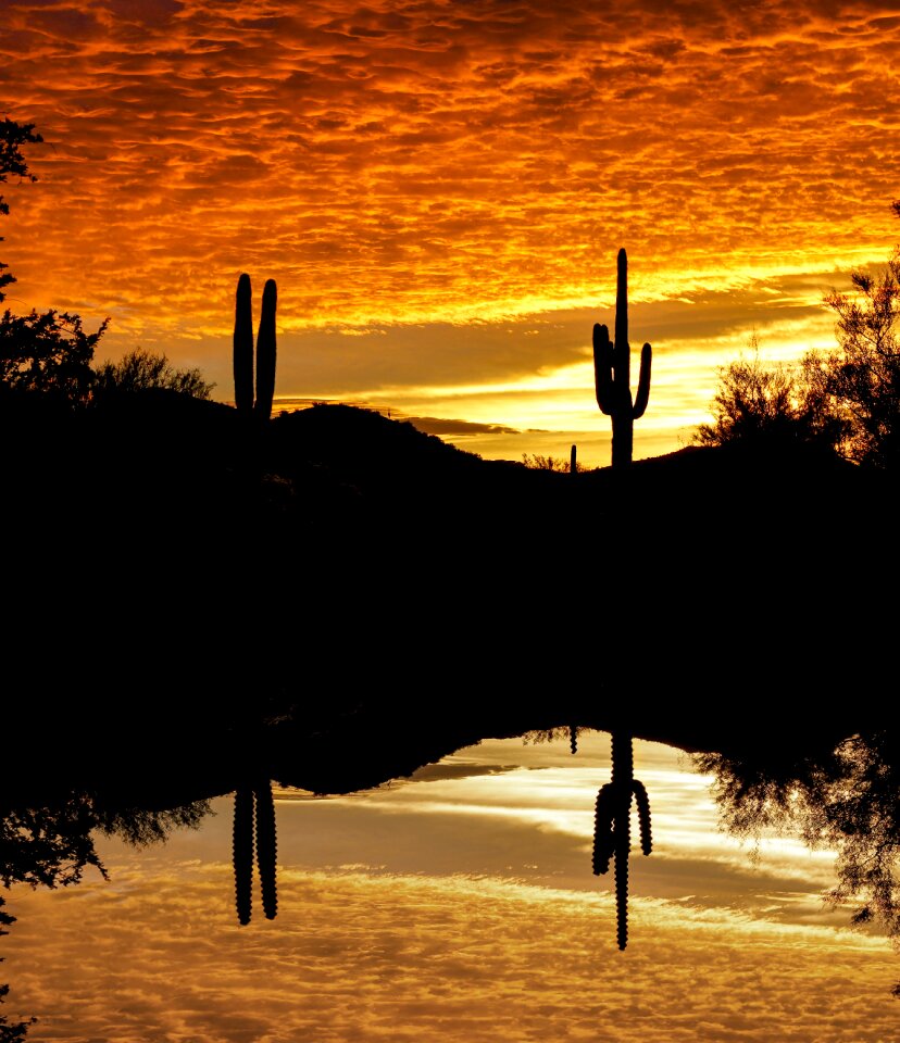 Sky reflection silhouette