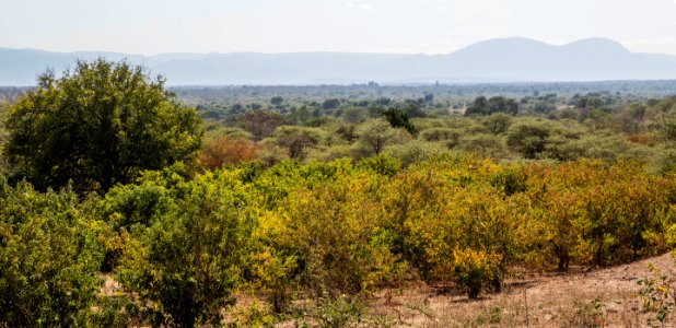 Chirundu, Zambia