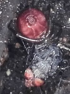 20200426 224510 0c
