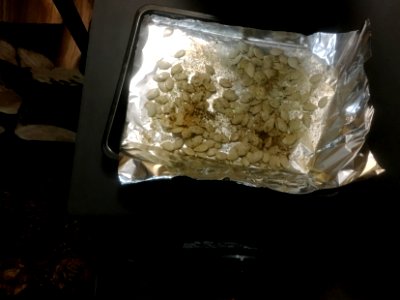 Roasting Squash Seeds on the Wood Stove