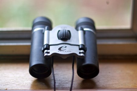 EDUCAUSE Scopes