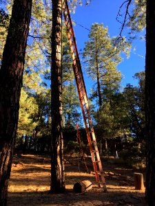 Unlucky in Ladders