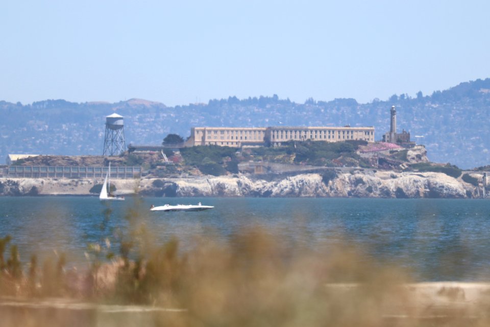 Alcatraz from Crissy Field Beach