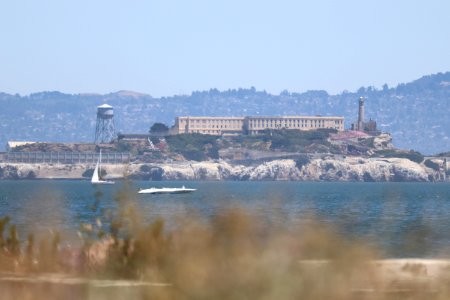 Alcatraz from Crissy Field Beach photo