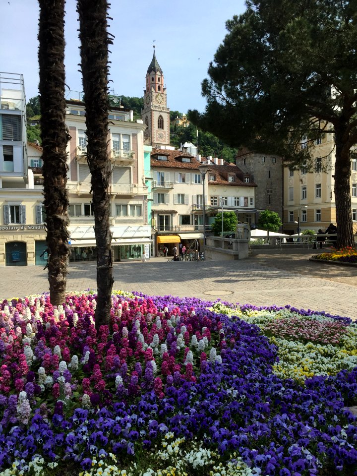 Frühling in Meran