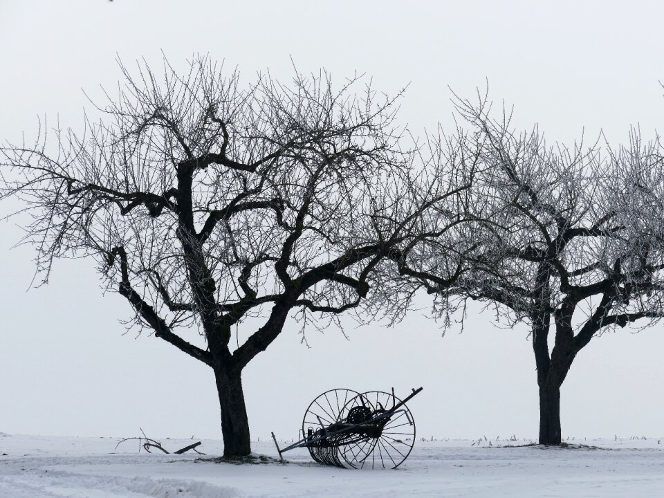 Snow still life hay tedders