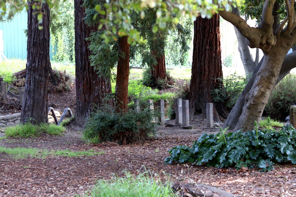 UC Berkeley West Clearing