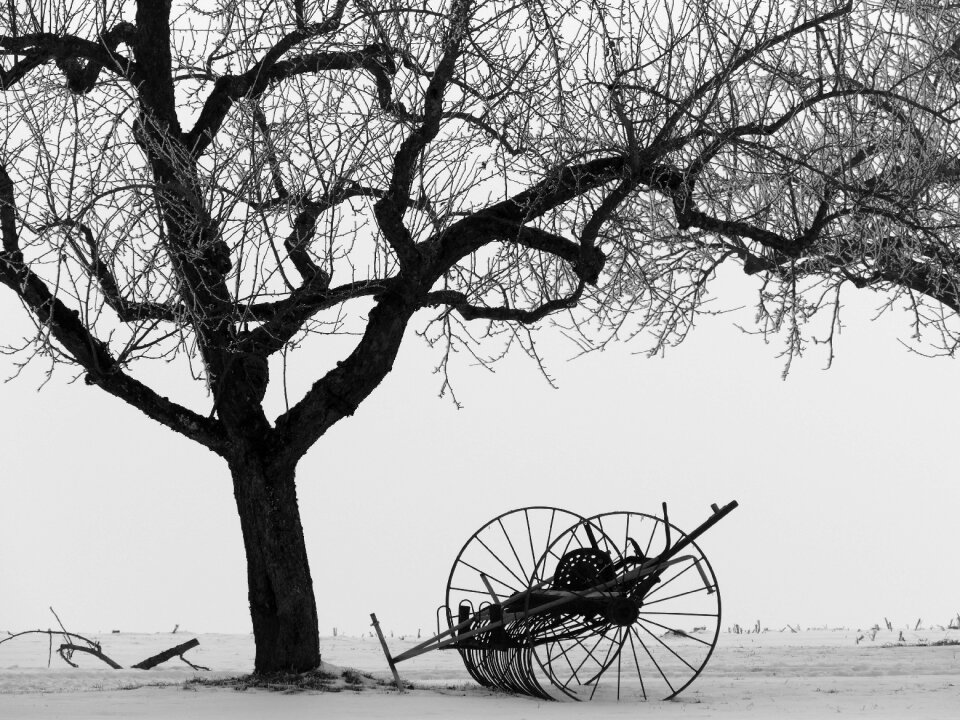 Snow still life hay tedders