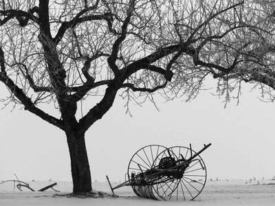 Snow still life hay tedders