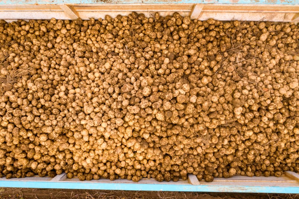 20191022-NRCS-LSC-0979