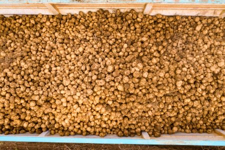20191022-NRCS-LSC-0979
