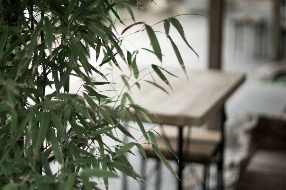 Green tree environment