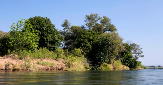 Zambezi, Zambia photo