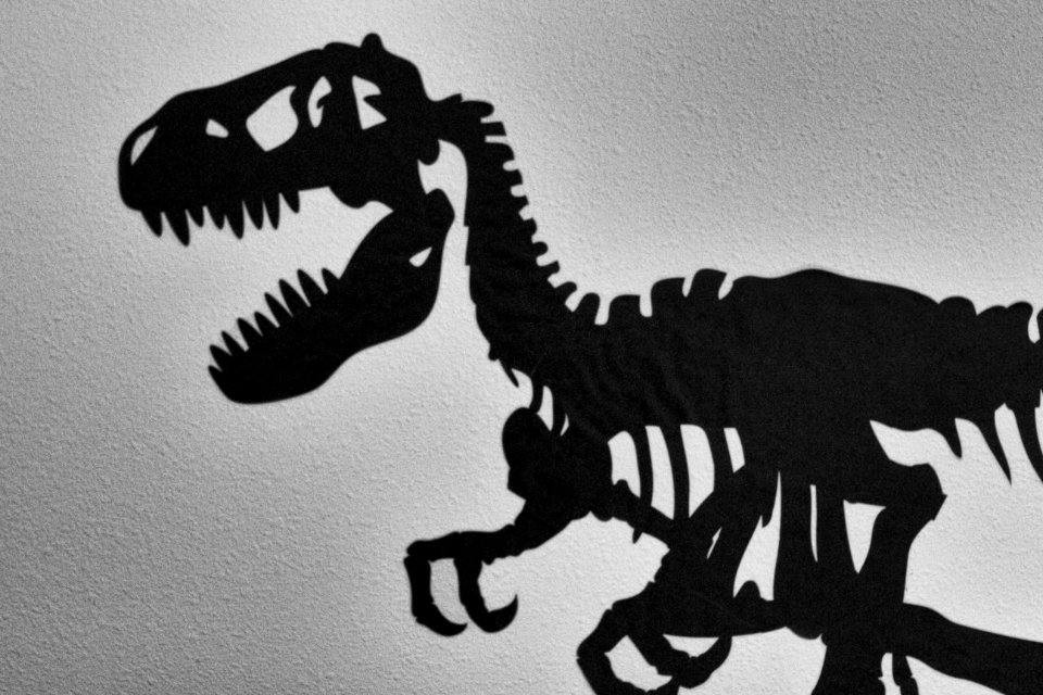 2014/365/353 Will I Be Able to Sleep Tonight?
