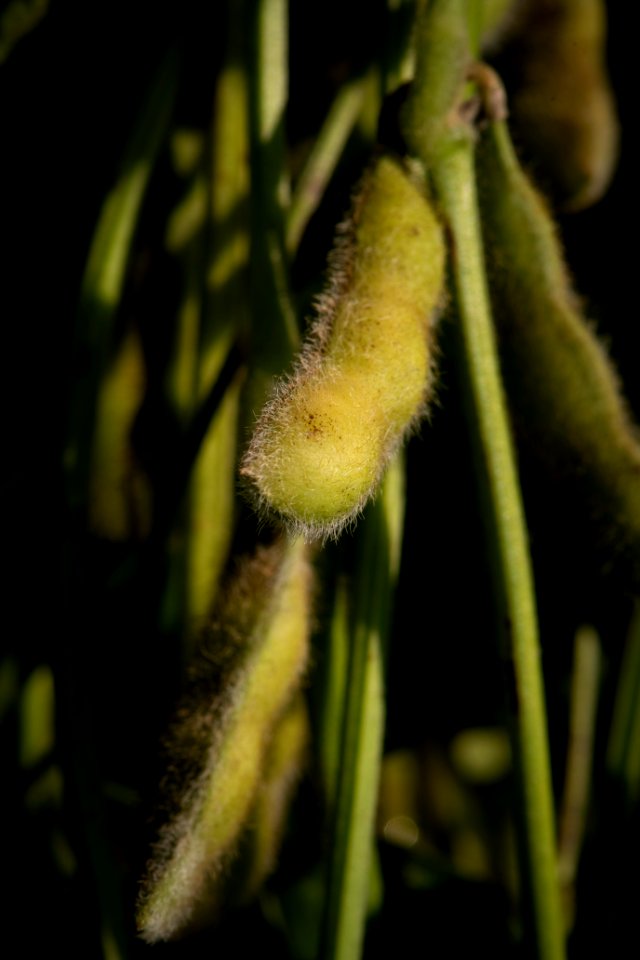 20190919-NRCS-LSC-0362