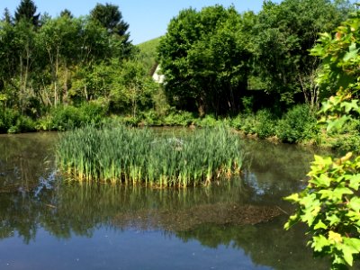 Biotop Untertürkheim-Luginsland