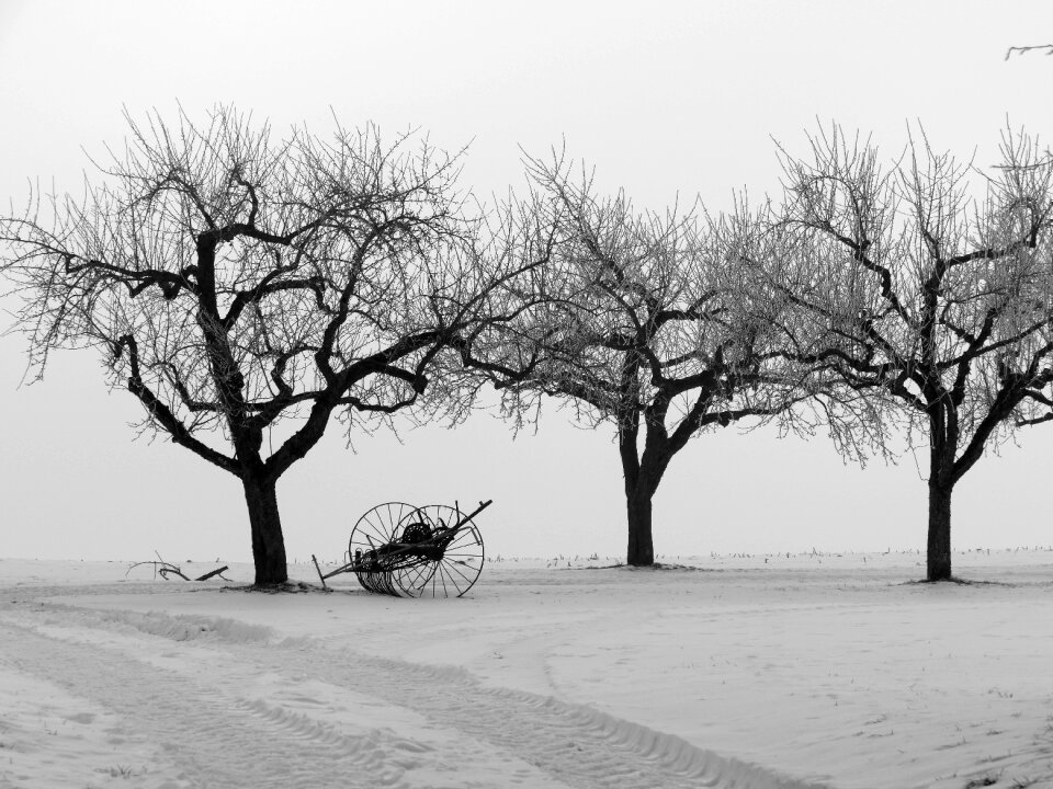 Snow still life hay tedders