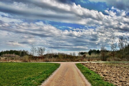 Crossroads field meadow
