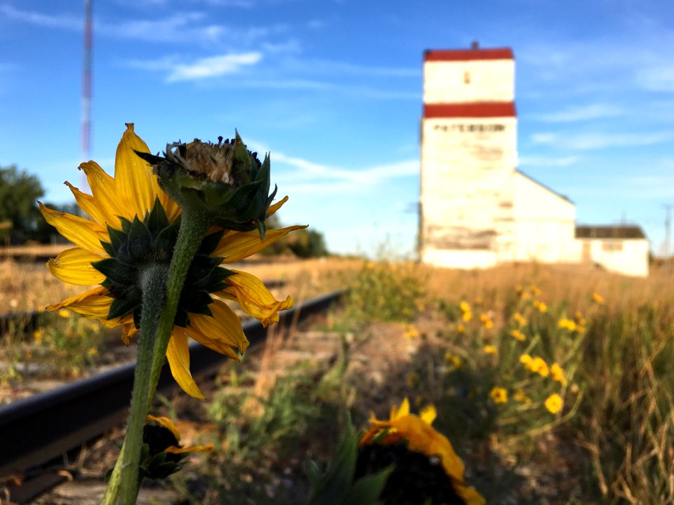 2018/365/254 Railroad Inspector