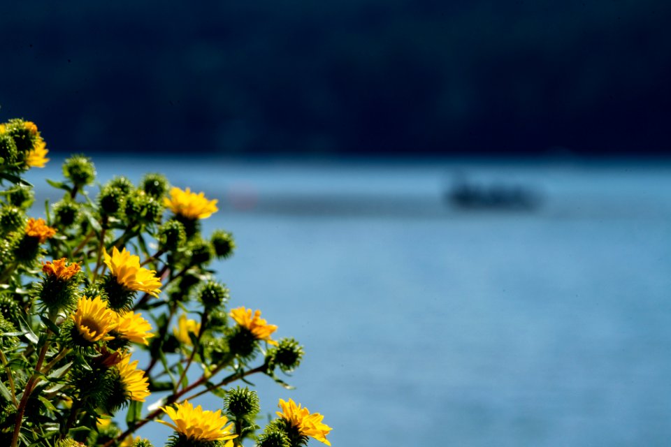 20190808-NRCS-LSC-0419