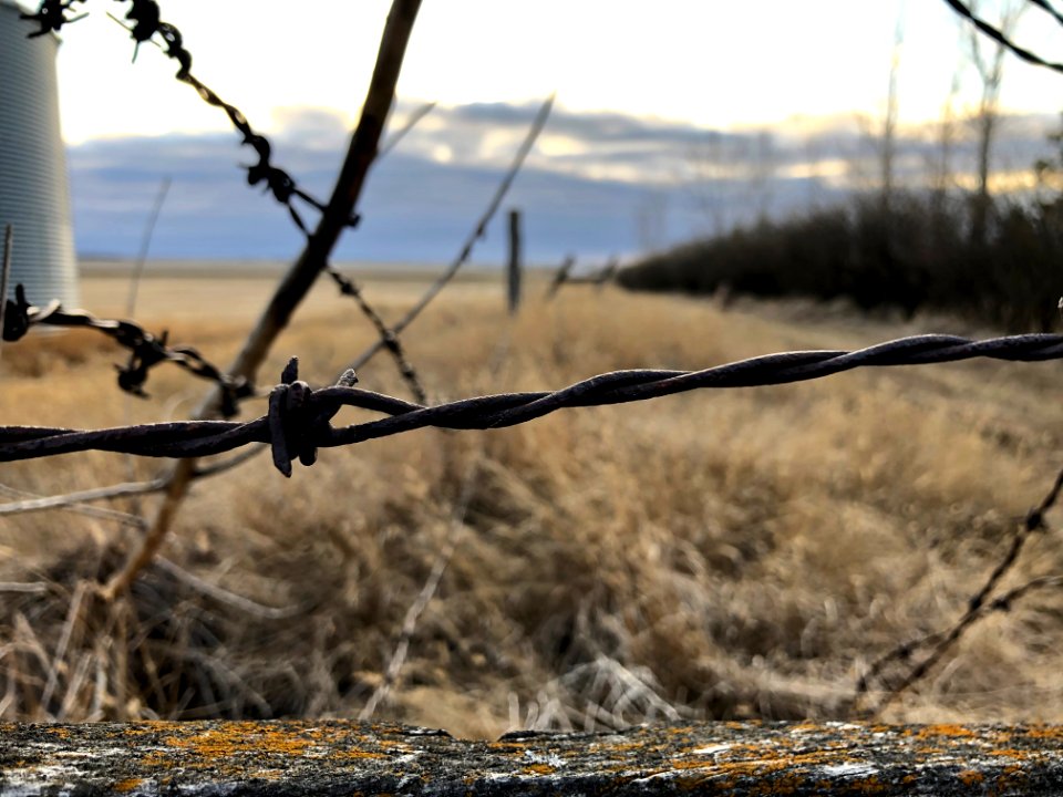 2021/365/82 Crossed Lines
