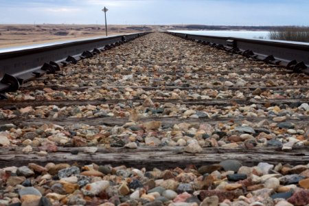 Tracks