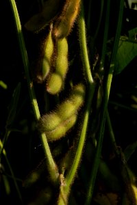 20190919-NRCS-LSC-0358