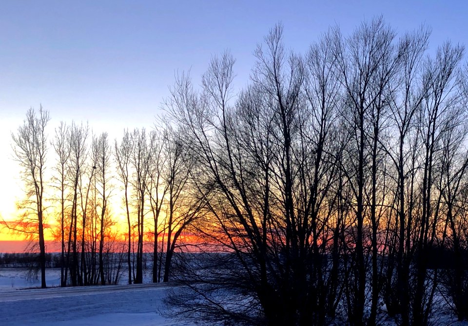 Waving to the Tree Neighbors