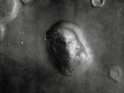 The Face On Mars photo