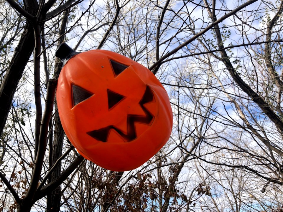 Oscar, the Lost Pumpkin