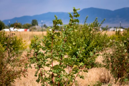 20190829-NRCS-LSC-0412