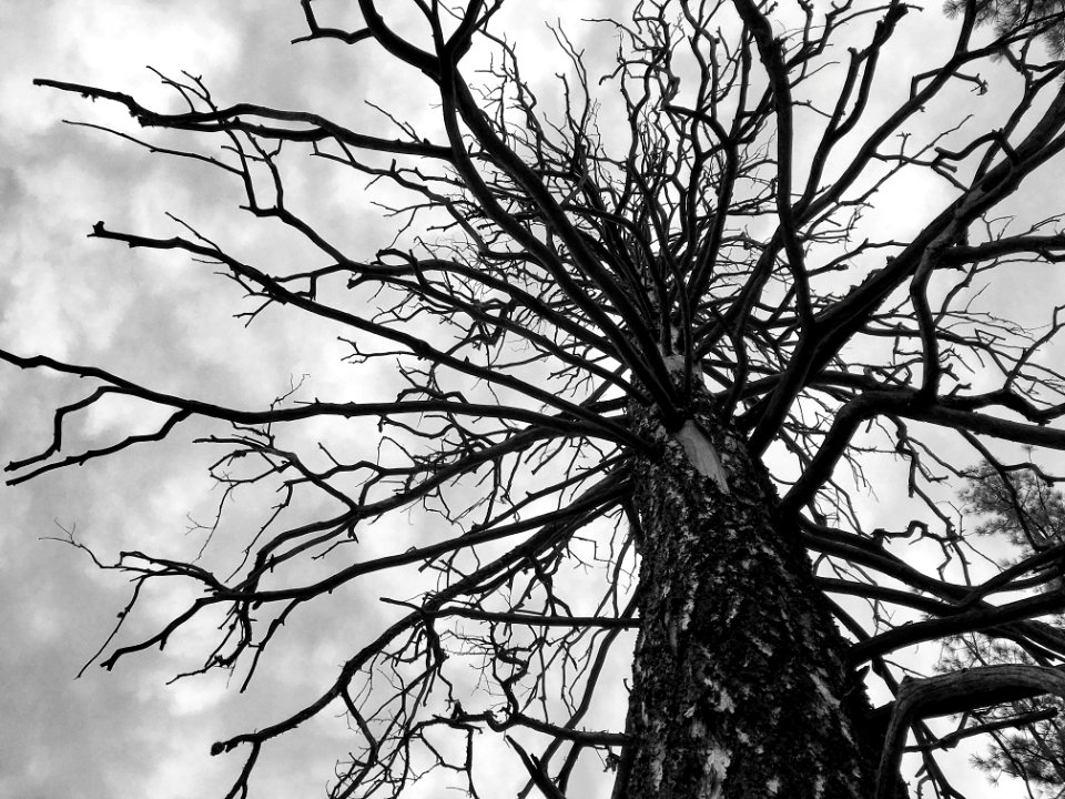 Reach The Sky