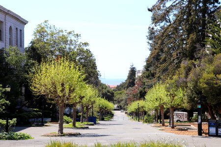 Campanile Way