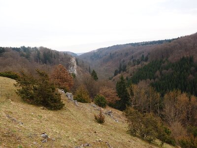 Heide bermaringen landscape