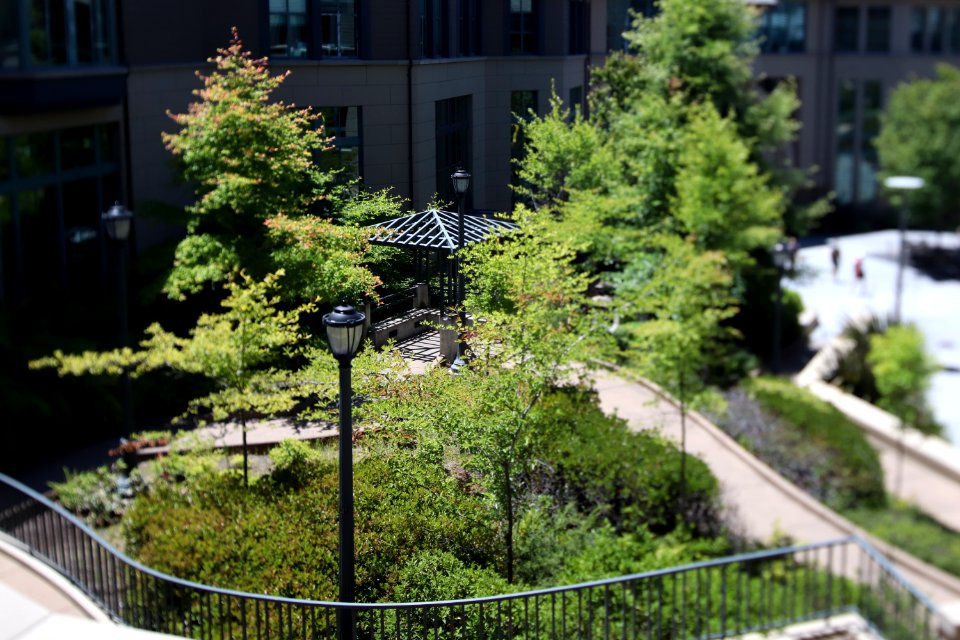 Haas School of Business Miniature Effect Tilt Shift