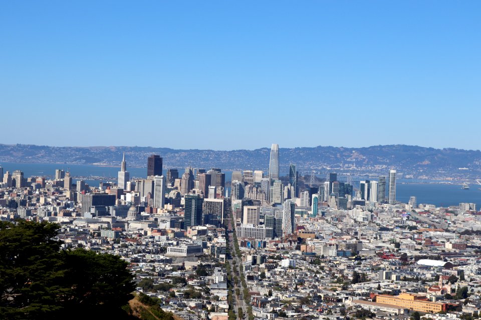 View of San Francisco from Twin Peaks