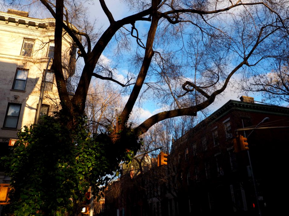 Bleeker St.