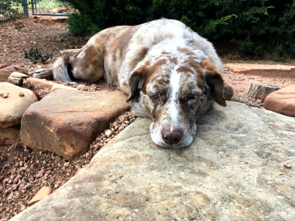 So Tired