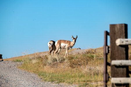 20190827-NRCS-LSC-0747 photo