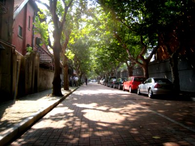 Quiet Streets photo